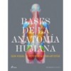 BASES DE LA ANATOMIA HUMANA