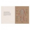 BASES DE LA ANATOMIA HUMANA