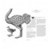 100 WAYS TO DRAW A BIRD AND MAKE A LIVING FROM ILLUSTRATION