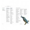 100 WAYS TO DRAW A BIRD AND MAKE A LIVING FROM ILLUSTRATION