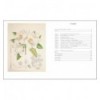 DRAWN FROM NATURE: THE FLOWERING OFIRISH BOTANICAL ART
