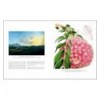 DRAWN FROM NATURE: THE FLOWERING OFIRISH BOTANICAL ART