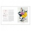 DRAWN FROM NATURE: THE FLOWERING OFIRISH BOTANICAL ART