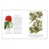 DRAWN FROM NATURE: THE FLOWERING OFIRISH BOTANICAL ART