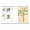 ARS BOTANICA, PAPER GARDENS IN THE