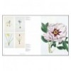 ARS BOTANICA, PAPER GARDENS IN THE