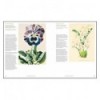 ARS BOTANICA, PAPER GARDENS IN THE