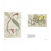 BOTANICAL SKETCHBOOKS