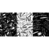 BLACK & WHITE MATRIX 2 (INCLUYE DVD)