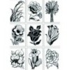 MAGIC: FREEHAND FANTASY (INCLUYE CD-ROOM)