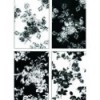 BLUE PRINT 5: FLORALS VOL.1 INCLUYE CD ROM