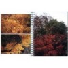 FOLIAGE TEXTURES (INCLUYE CD-ROM)