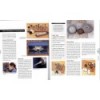CRAFT OF SILVERSMITHING