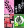 FASHION SCRAPBOOK 4: VINTAGE(INCLUYE CD-ROOM)