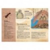CASTOR CONSTRUCTOR I ALTRES ANIMALSARQUITECTES, EL
