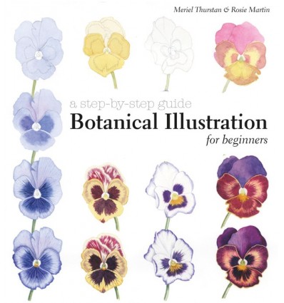 BOTANICAL ILLUSTRATION FOR BEGINNERS
