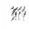 ANIMALS HANDMADE ILLUSTRATION