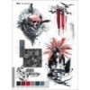 TRENDSETTER MARINE & CLASSIC EDITION (INCLUYE DVD) WOMEN/MEN/KIDS