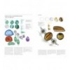 JEWELERY ILLUSTRATION AND DESIGN