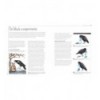 LA EXTRAORDINARIA INTELIGENCIA DE LAS AVES