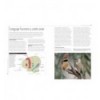 LA EXTRAORDINARIA INTELIGENCIA DE LAS AVES