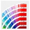 PANTONE PLUS FORMULA GUIDE. FAN