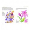 REVERSE COLOURING JOURNEYS: BOTANICAL INSPIRATION IN REVESE