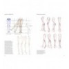 FIGURE DRAWING FOR FASHION DESIGN VOL. 1 (3RD EDITION)