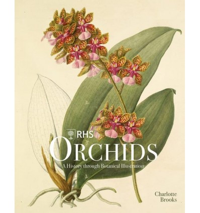 RHS ORCHIDS