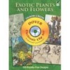EXOTIC PLANTS AND FLOWERS (INCLUYECD-ROOM)
