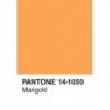 PANTONE:50 POSTCARDS