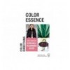 COLOR ESSENCE WOMEN S/S 25