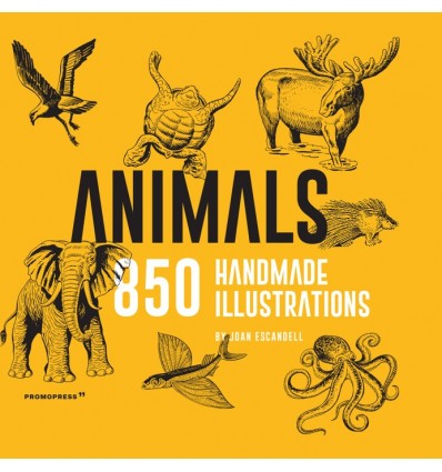ANIMALS HANDMADE ILLUSTRATION (HARDBACK)